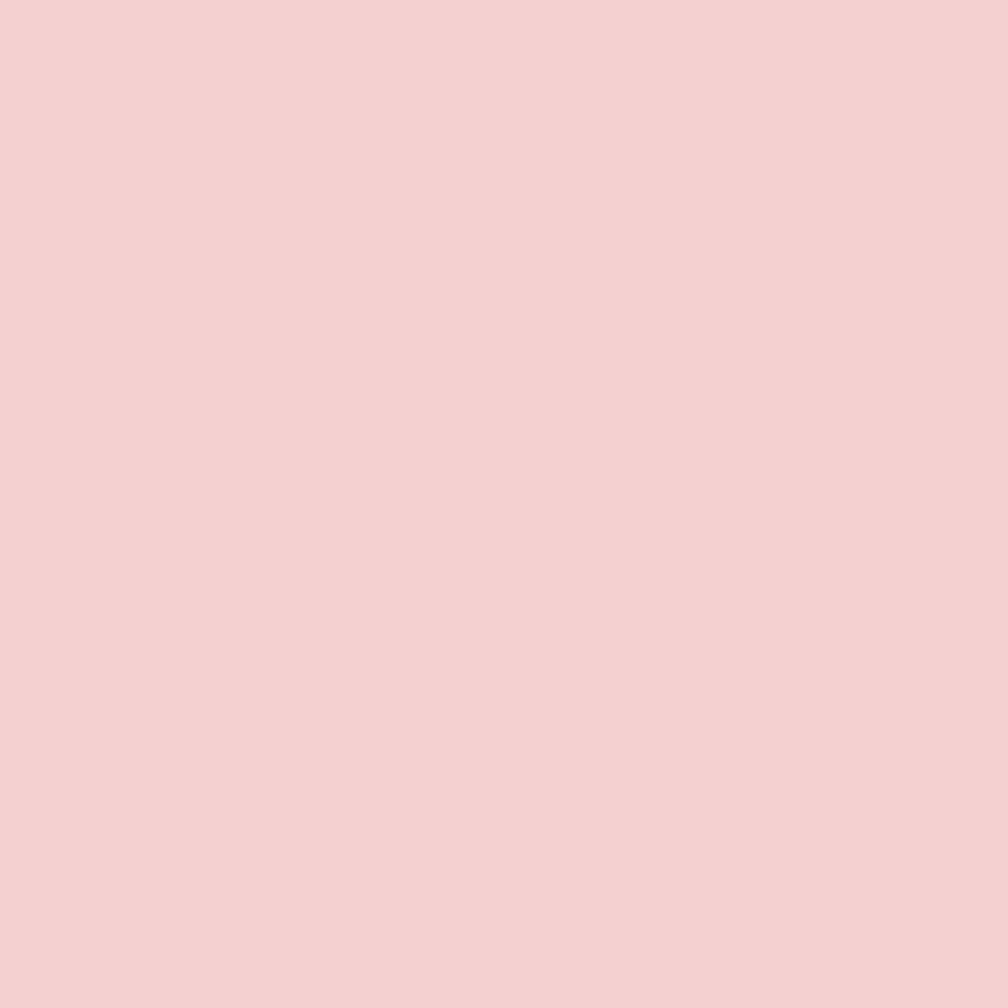 Painter's Palette Solids - Carnation - PER 1/4 YARD
