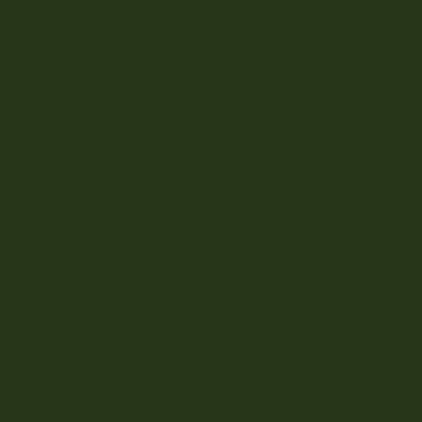 Painter's Palette Solids - Forest - PER 1/4 YARD