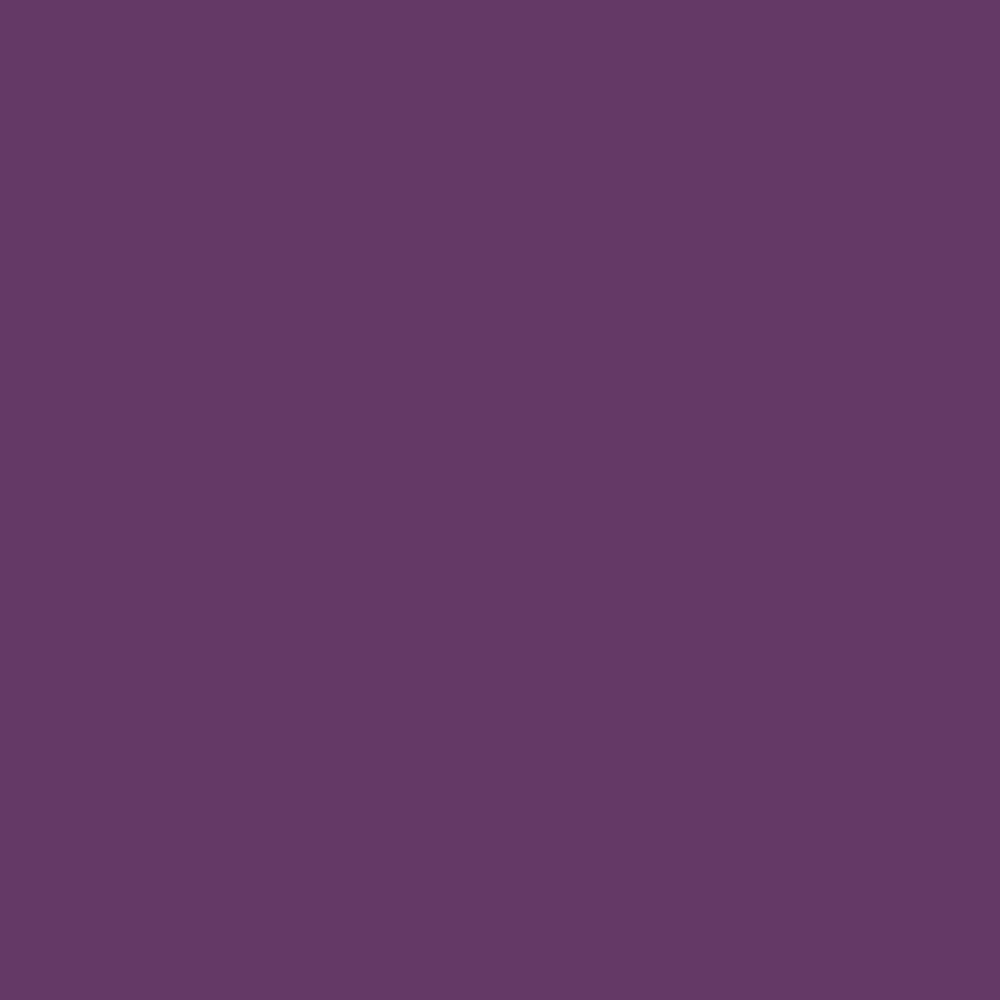 Painter's Palette Solids - Amethyst - PER 1/4 YARD