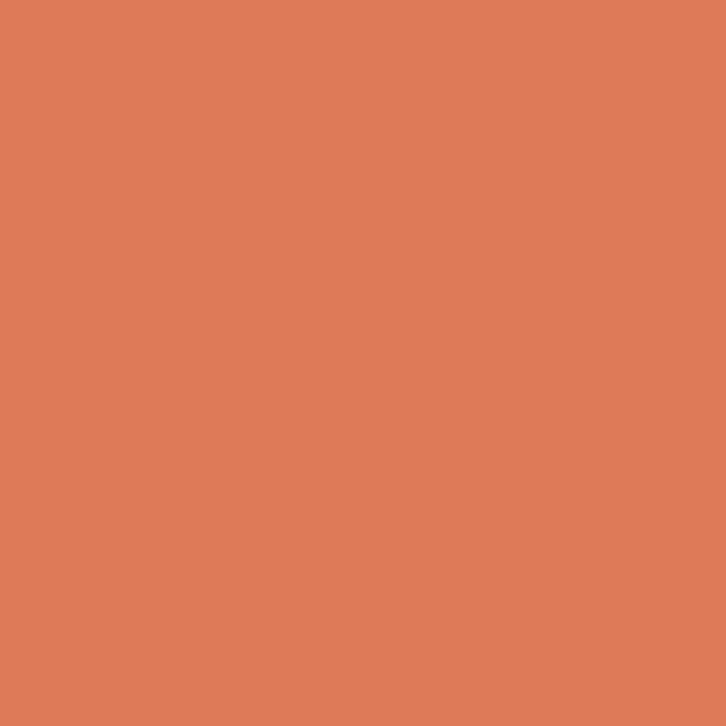 Painter's Palette Solids - Clay - PER 1/4 YARD
