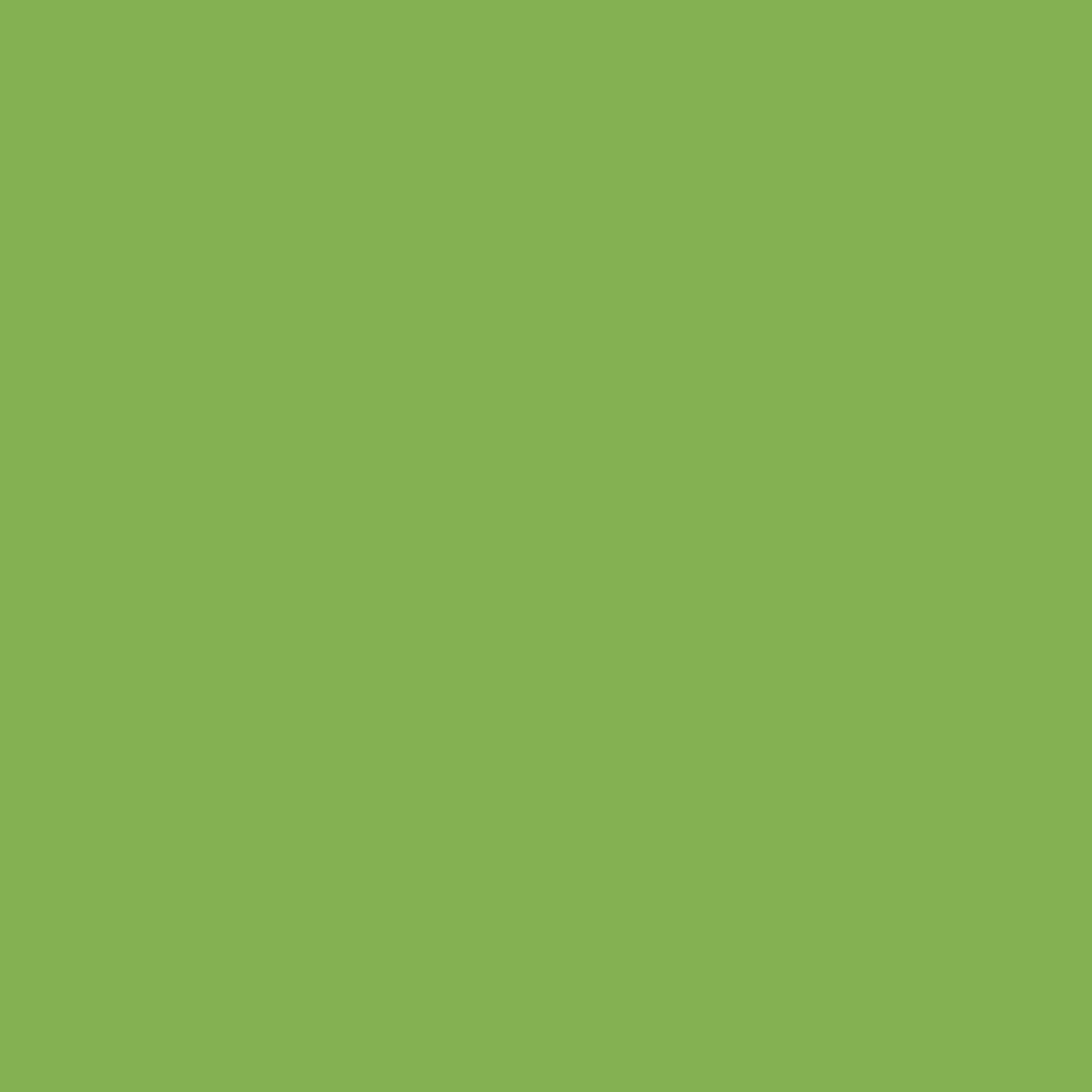 Painter's Palette Solids - Grasshopper - PER 1/4 YARD