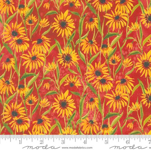 Floribunda - Blackeyed Suzie Q Florals Sunflowers, Spice - PER 1/4 YARD