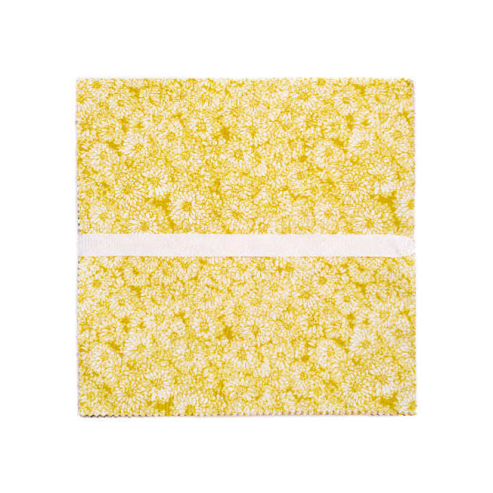 Indelible - 10" Squares, 42 pieces