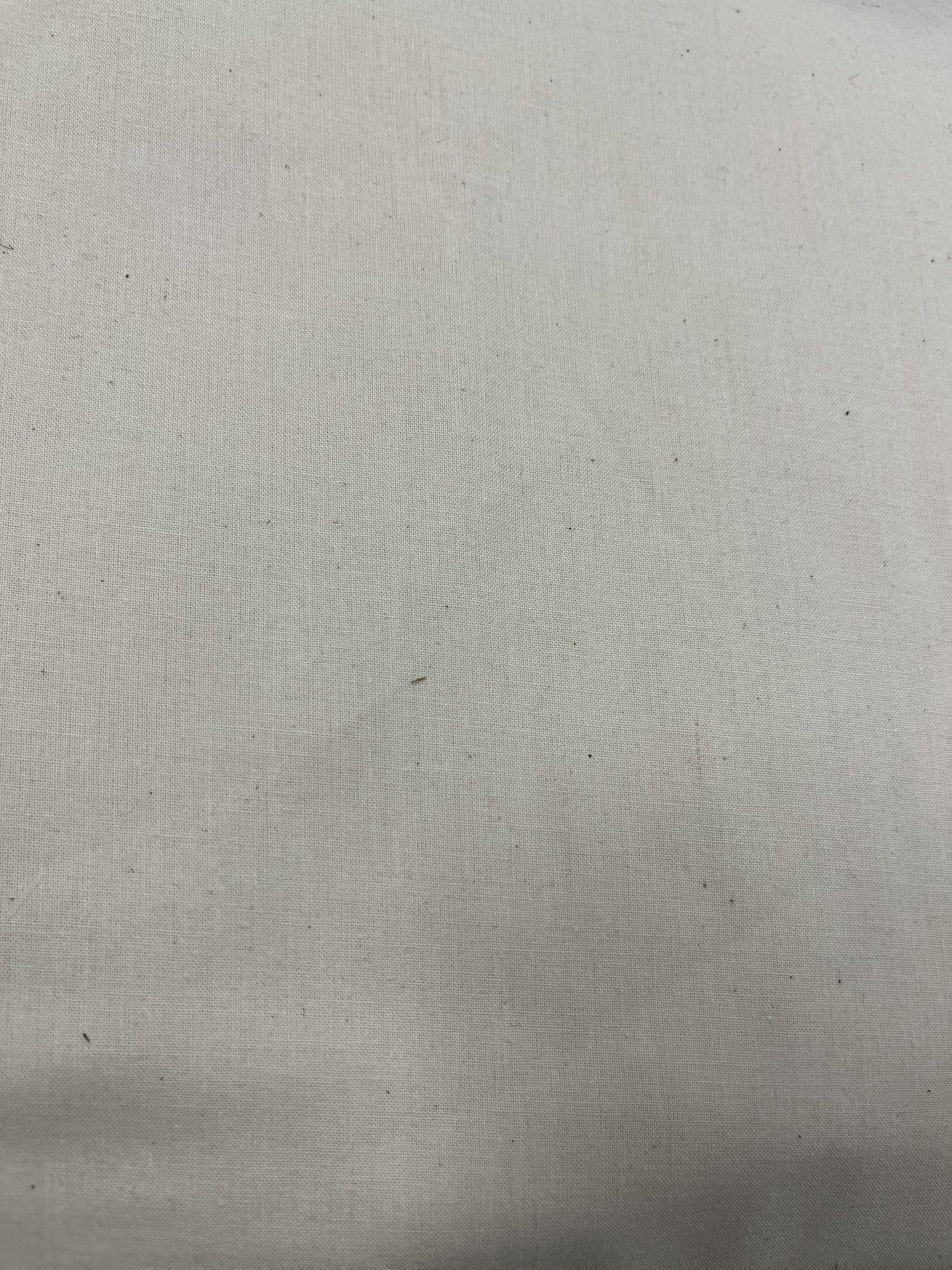 Vintage Muslin 108" Wide Back
