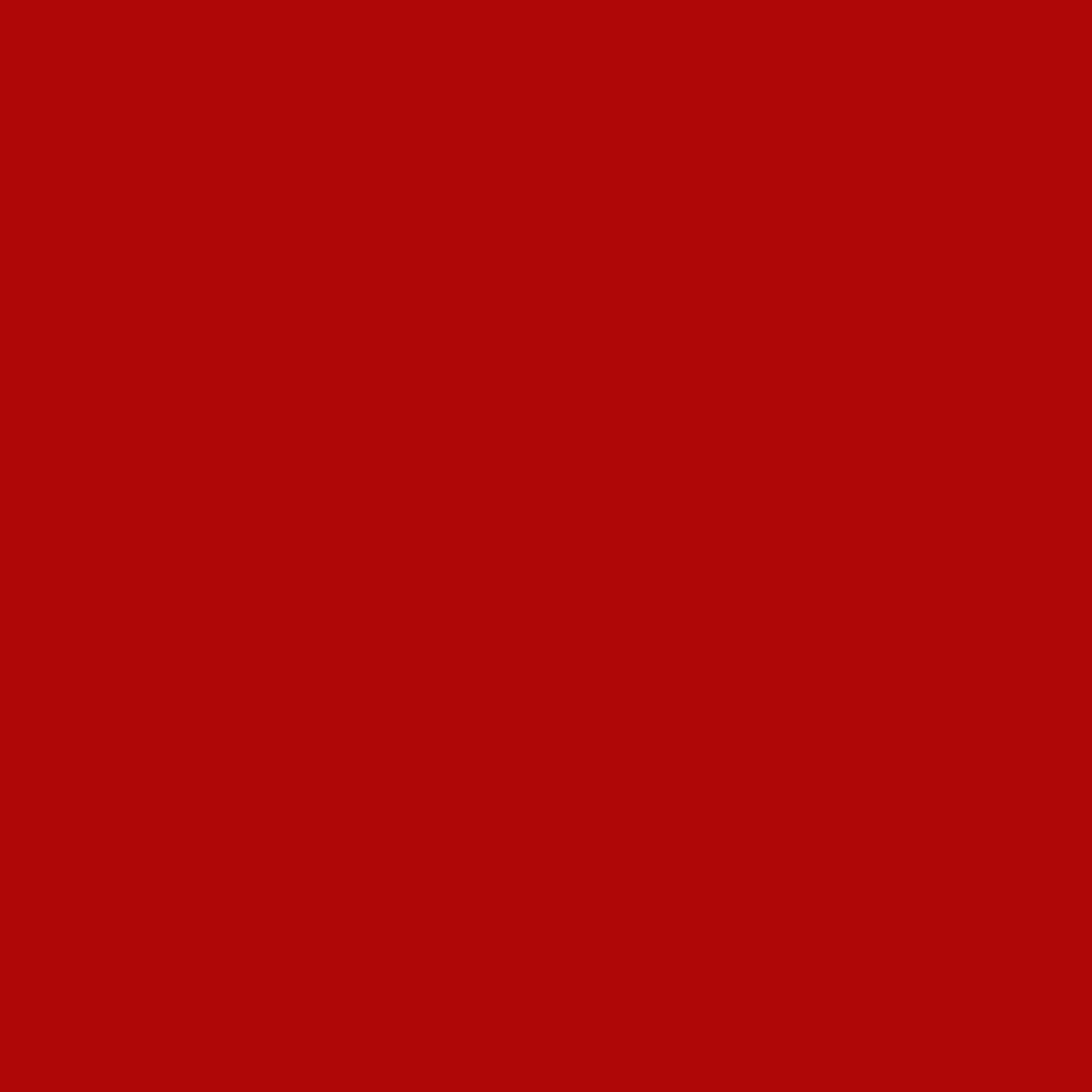 Painter's Palette Solids - Christmas Red - PER 1/4 YARD