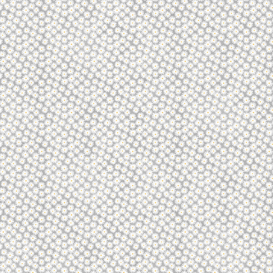 Sunny Safari - Daisy, Gray - PER 1/4 YARD
