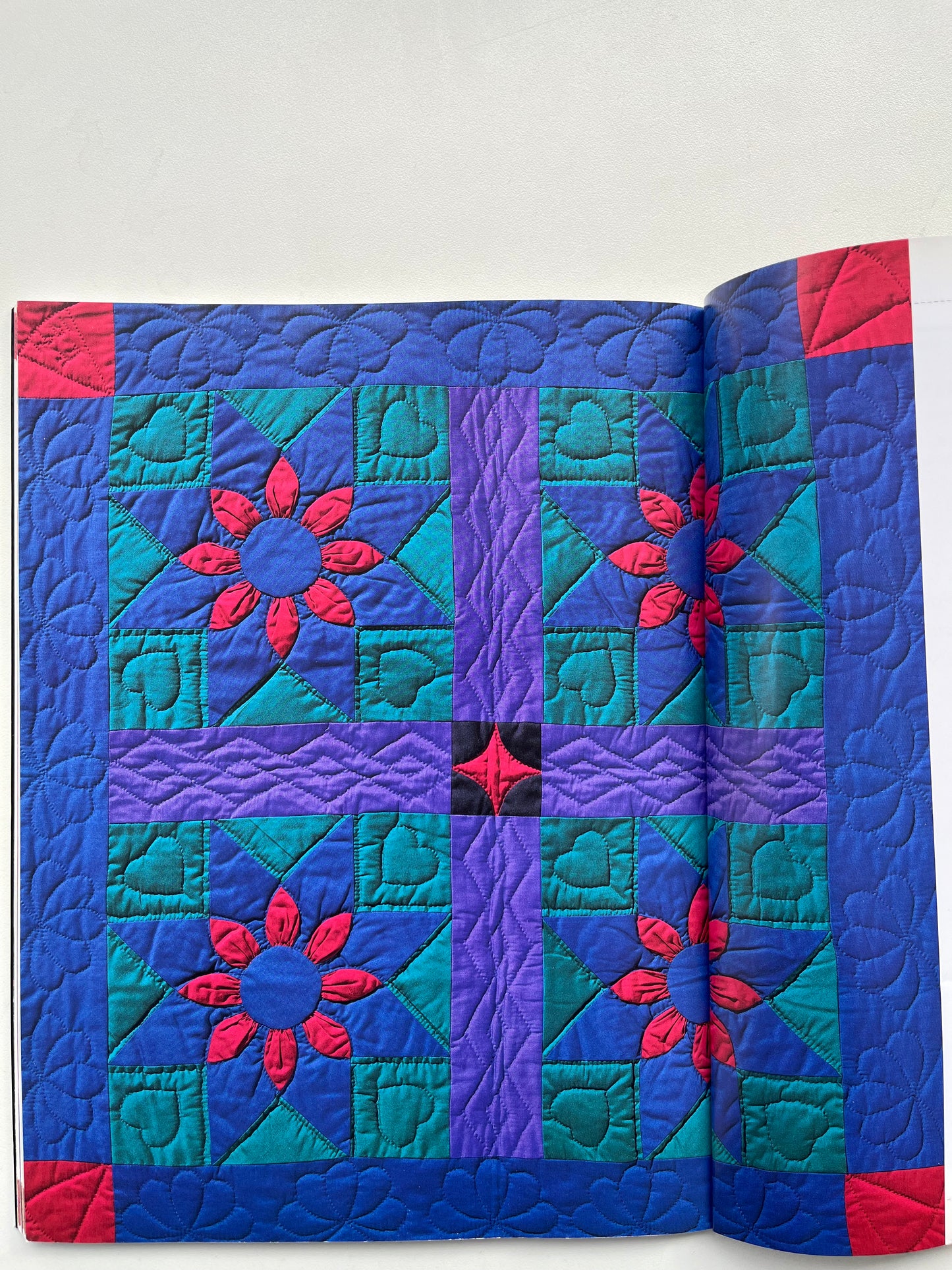 The Quilter's Guide to Amish Quilts (used book)