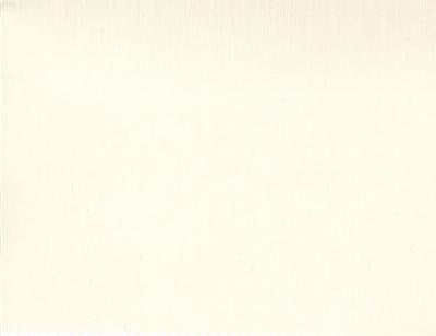 200 Count Muslin Natural - 108" Wide Back